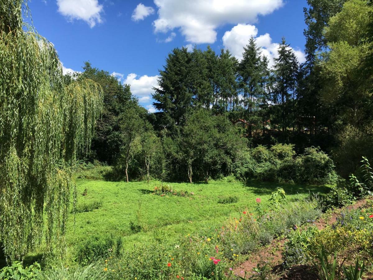 Haagalm Terrasse, Garten Nonnweiler Exterior foto