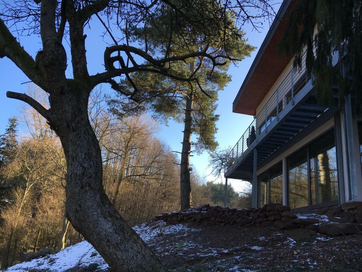 Haagalm Terrasse, Garten Nonnweiler Exterior foto