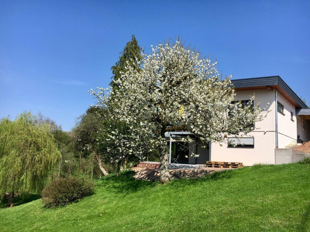 Haagalm Terrasse, Garten Nonnweiler Exterior foto
